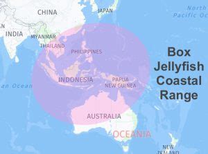 box jellyfish range distribution|box jellyfish locations.